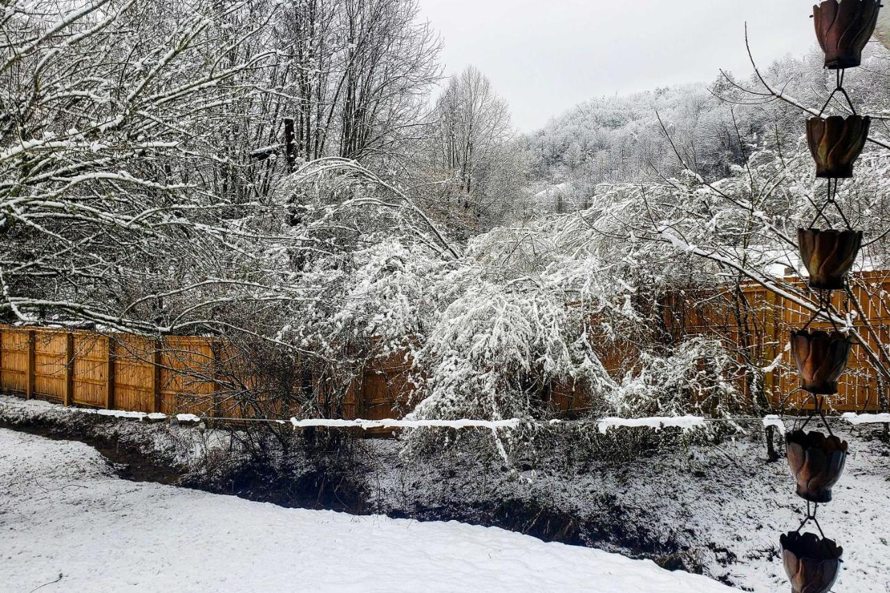 Smoky Mountain Vacation Rental With Hot Tub And Kayaks Whittier Extérieur photo